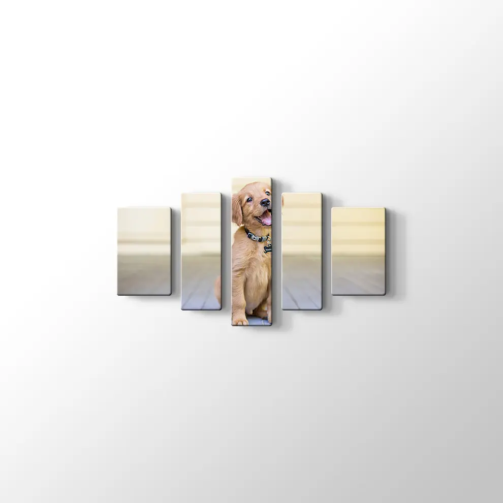 Sevimli Köpek Yavrusu Kanvas Tablo