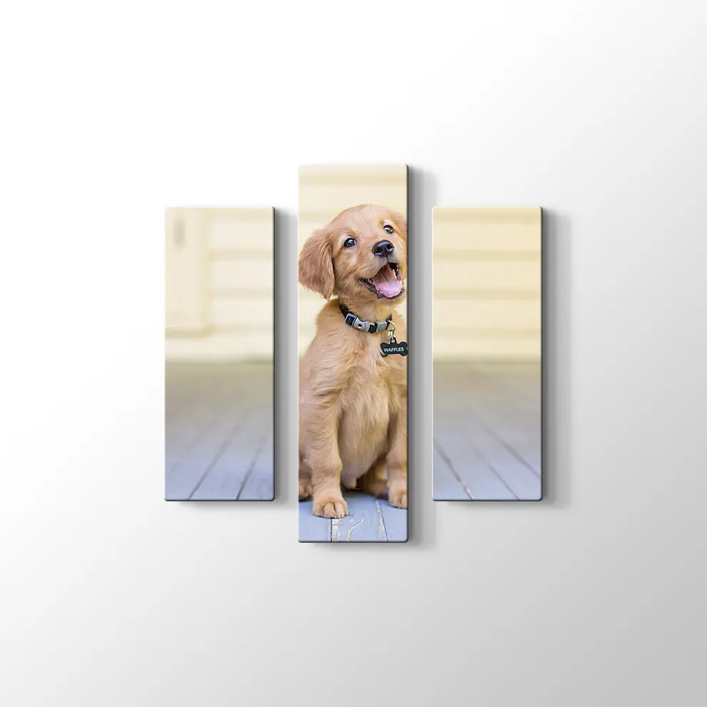 Sevimli Köpek Yavrusu Kanvas Tablo