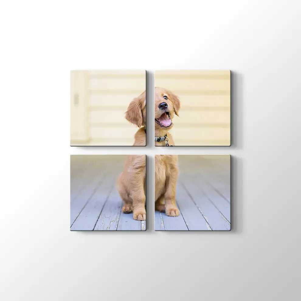 Sevimli Köpek Yavrusu Kanvas Tablo