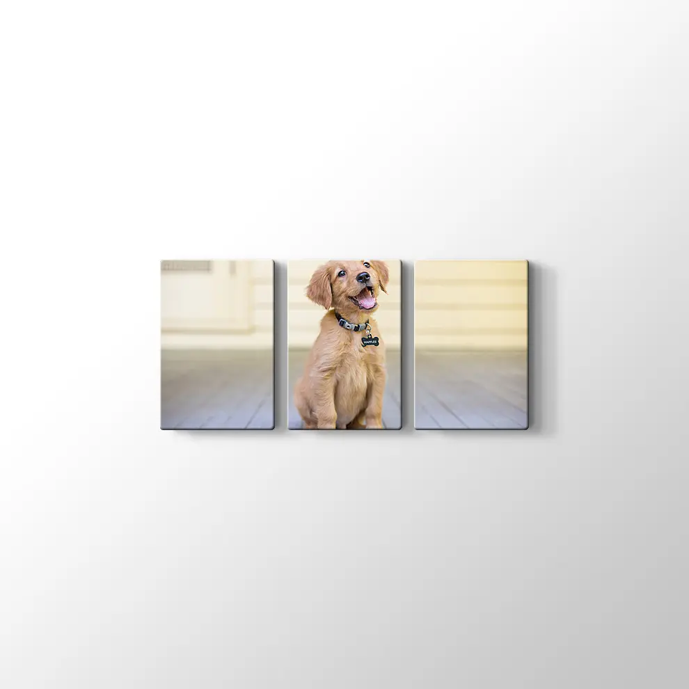 Sevimli Köpek Yavrusu Kanvas Tablo