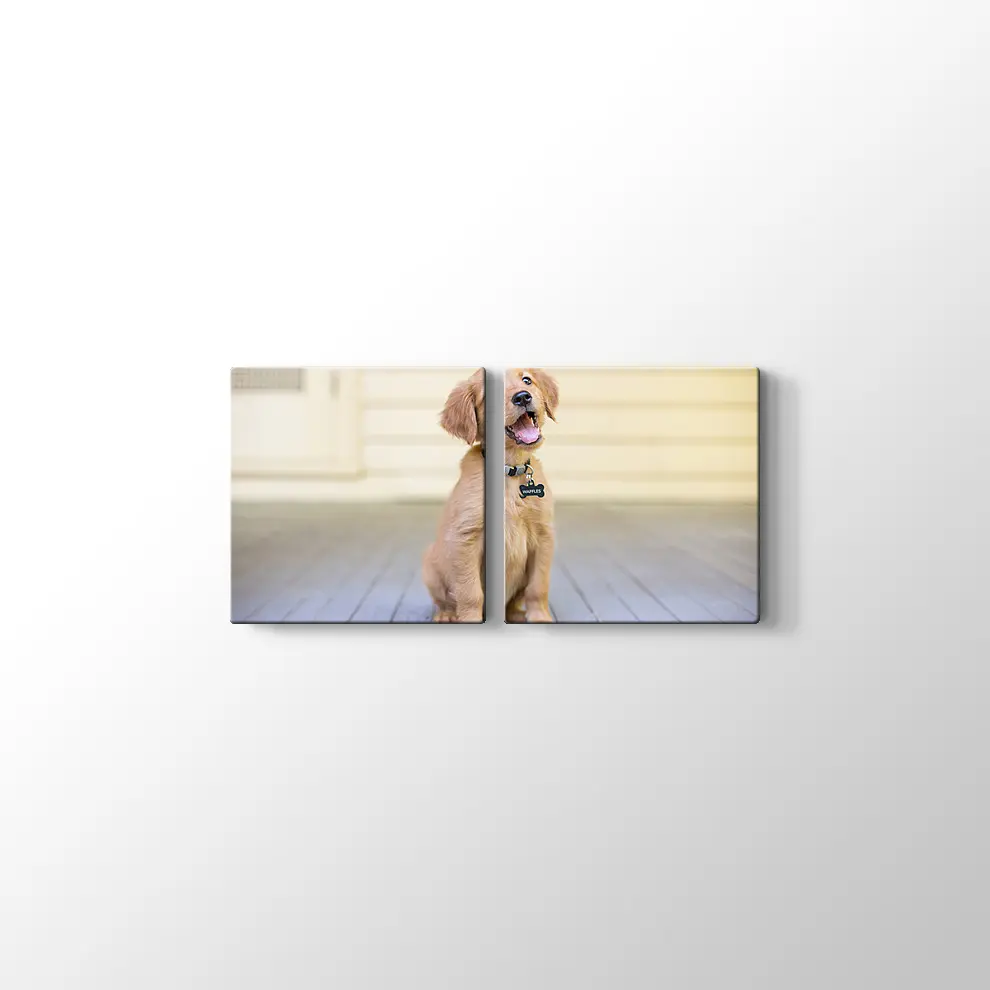 Sevimli Köpek Yavrusu Kanvas Tablo