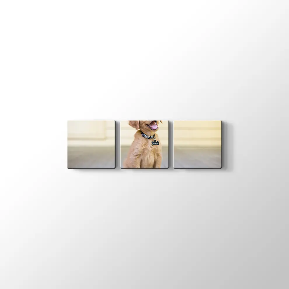 Sevimli Köpek Yavrusu Kanvas Tablo