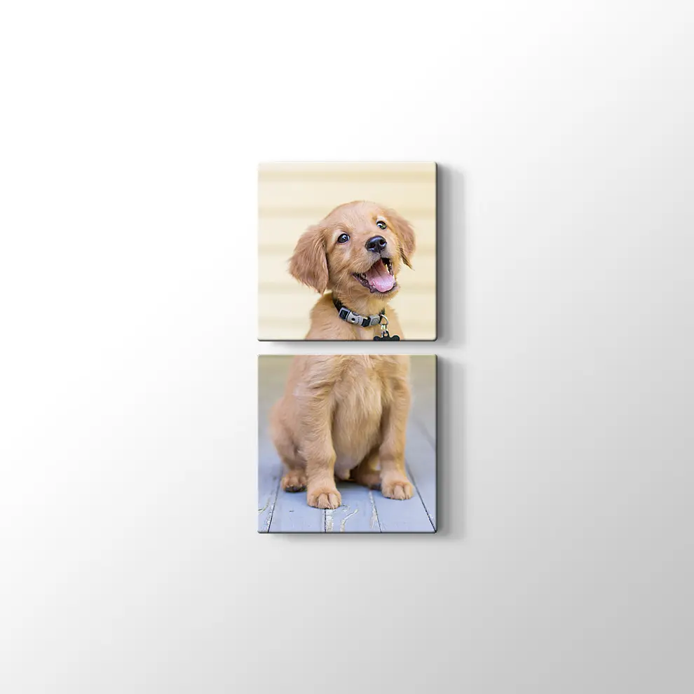 Sevimli Köpek Yavrusu Kanvas Tablo