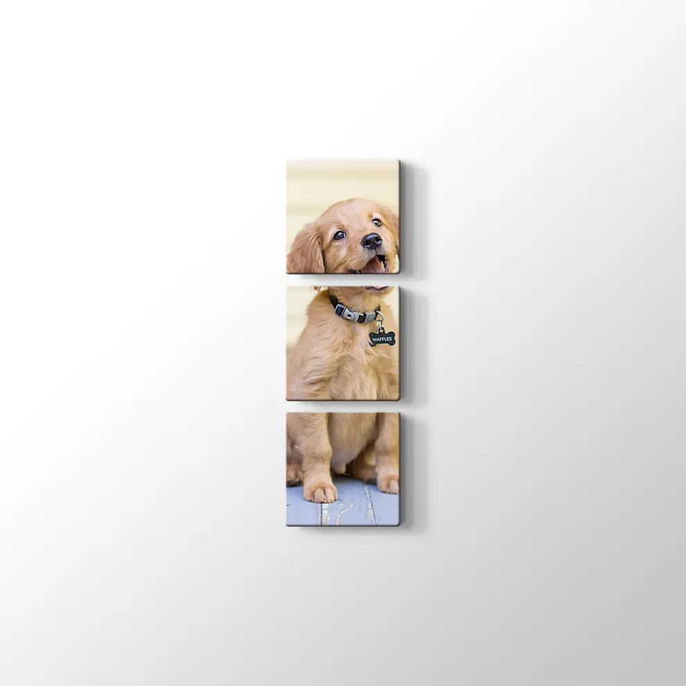 Sevimli Köpek Yavrusu Kanvas Tablo