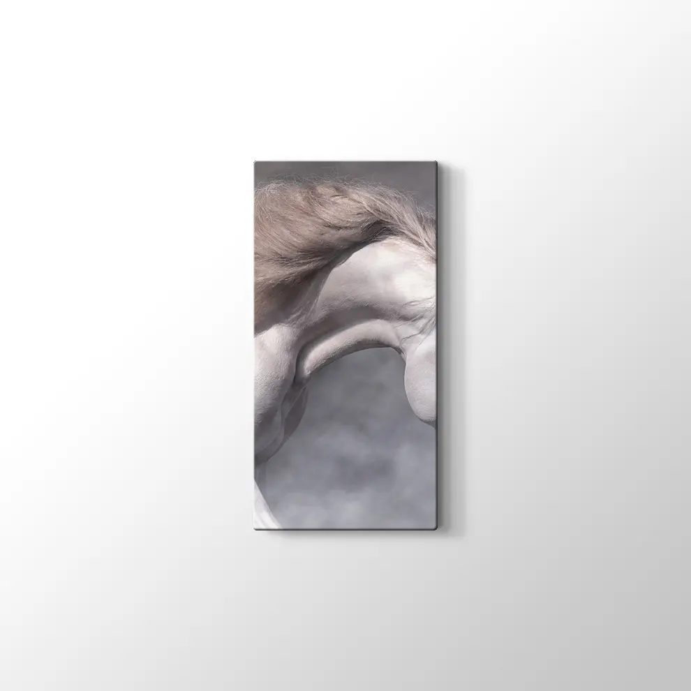 Beyaz At Kanvas Tablo