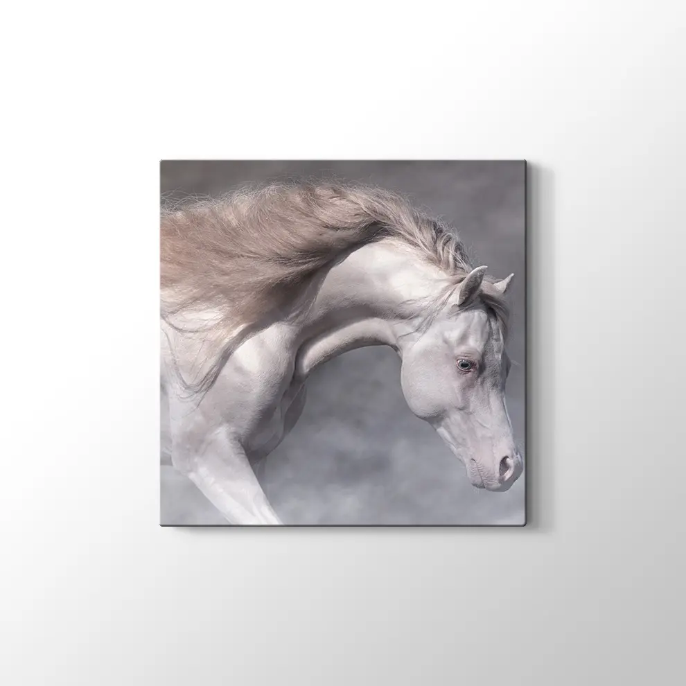 Beyaz At Kanvas Tablo