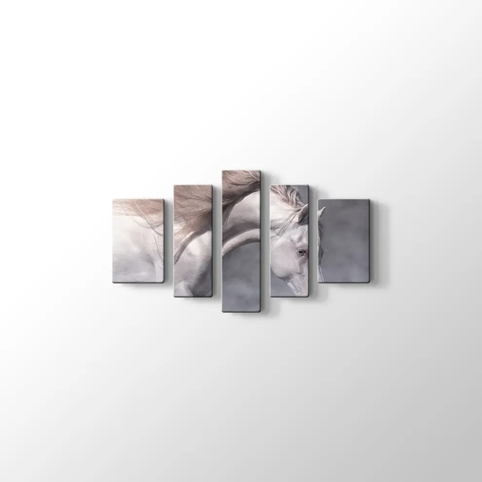 Beyaz At Kanvas Tablo