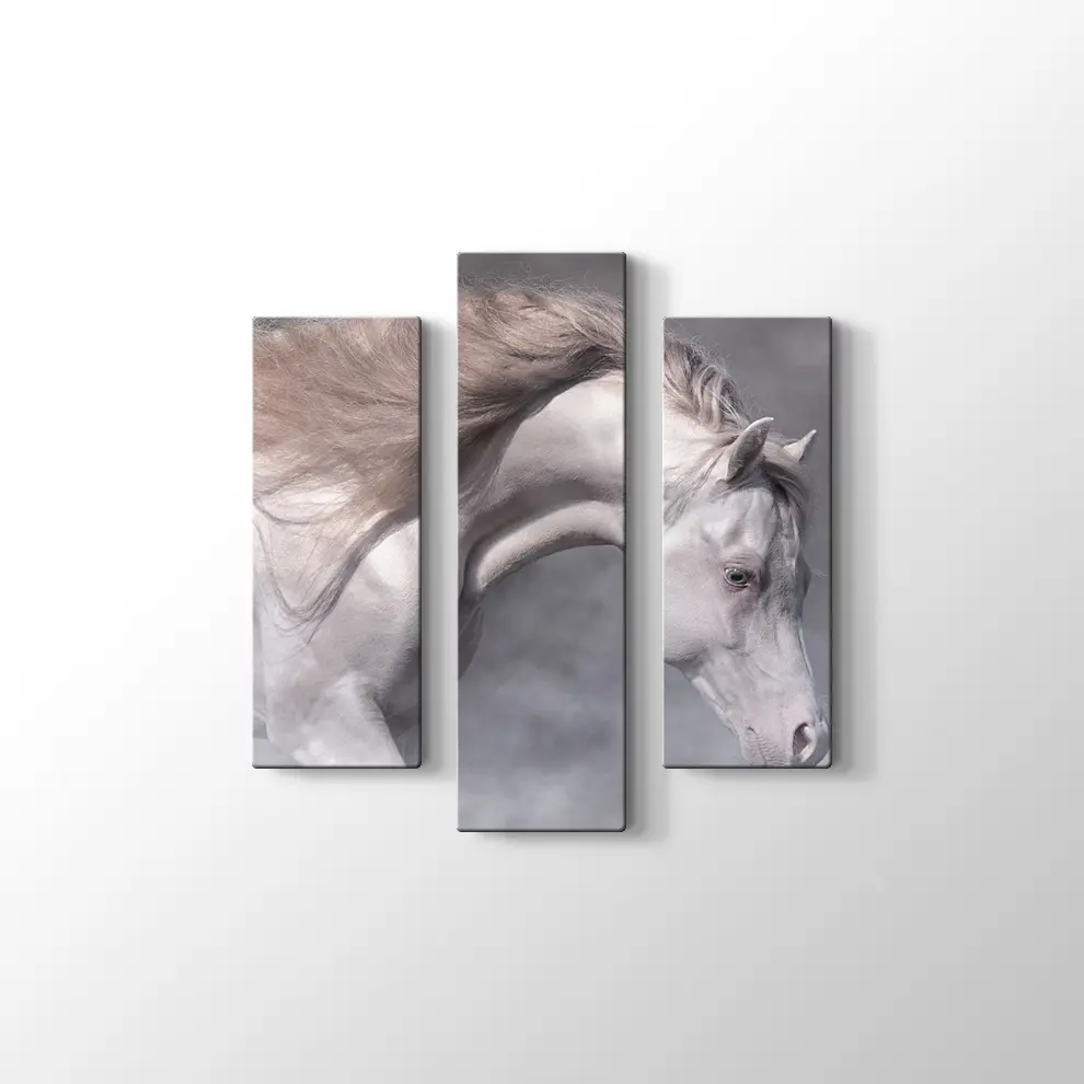 Beyaz At Kanvas Tablo