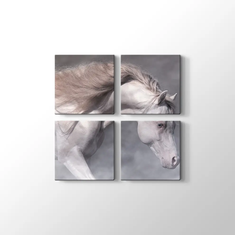 Beyaz At Kanvas Tablo