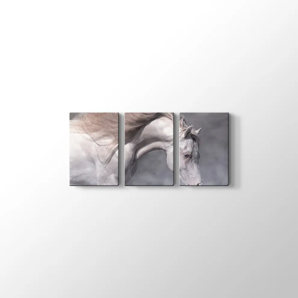 Beyaz At Kanvas Tablo