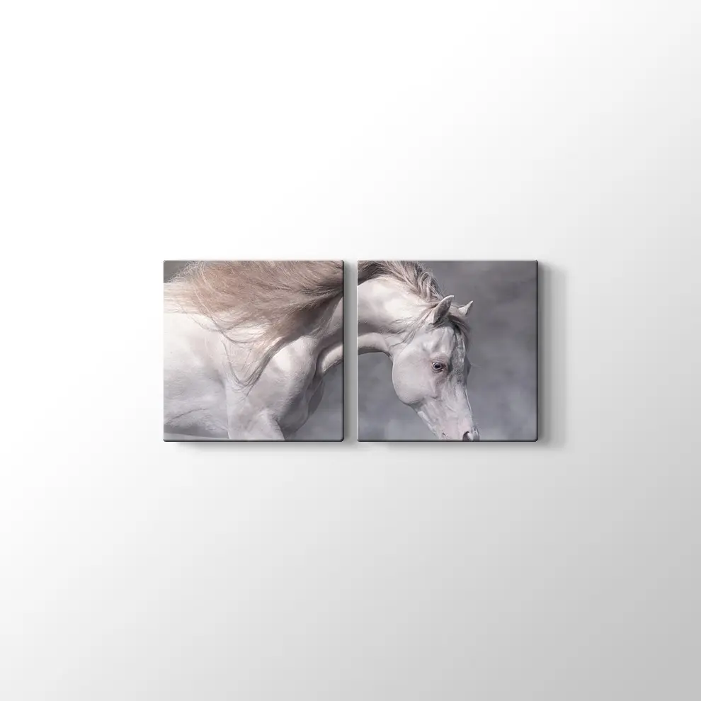 Beyaz At Kanvas Tablo