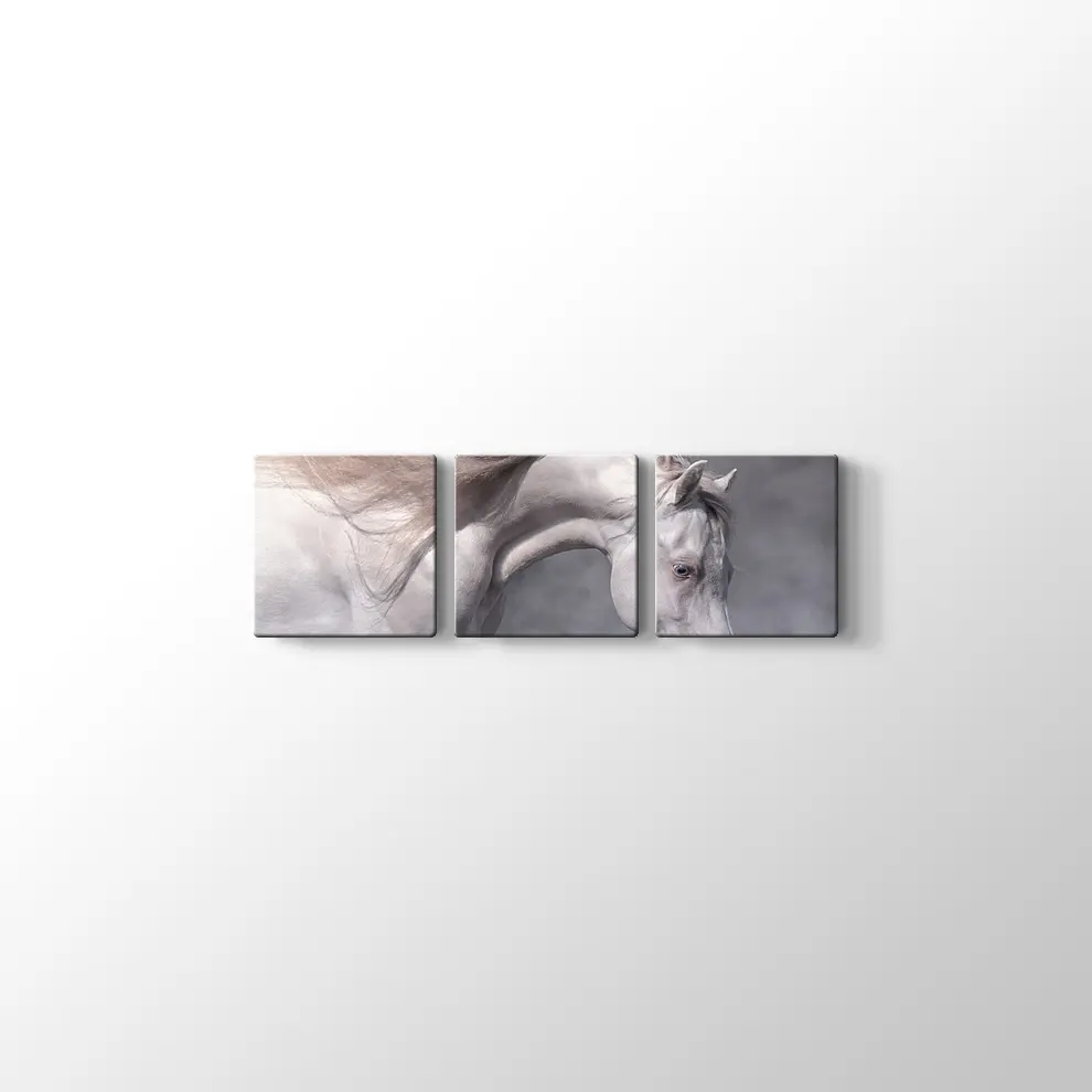 Beyaz At Kanvas Tablo