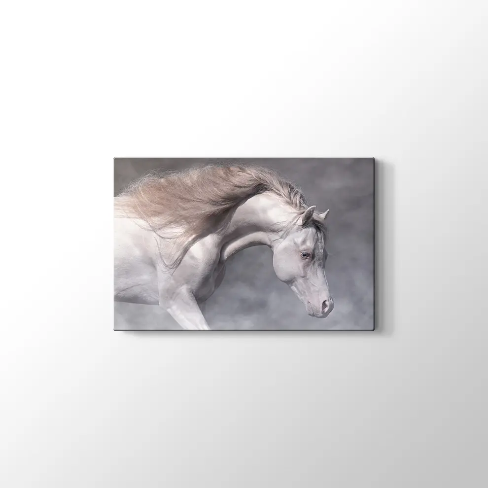 Beyaz At Kanvas Tablo