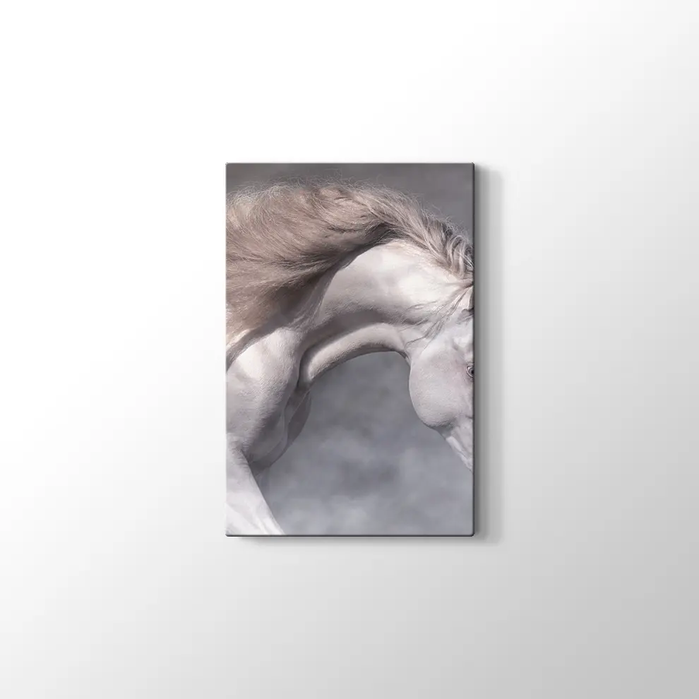 Beyaz At Kanvas Tablo