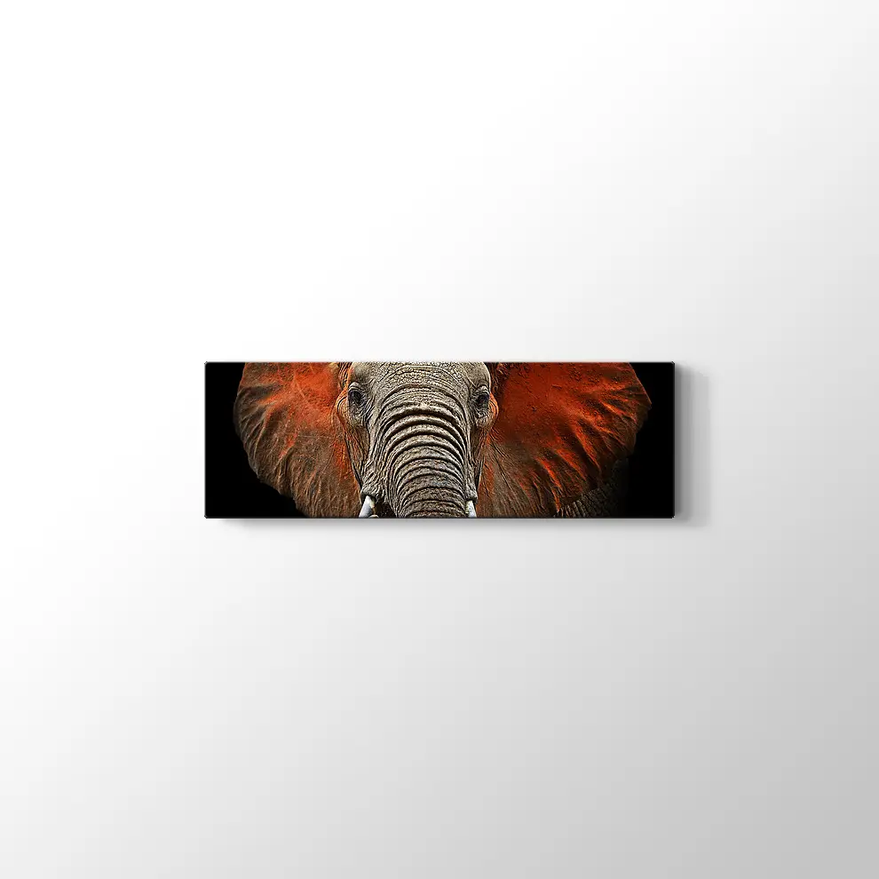 Afrika Fili Kanvas Tablo