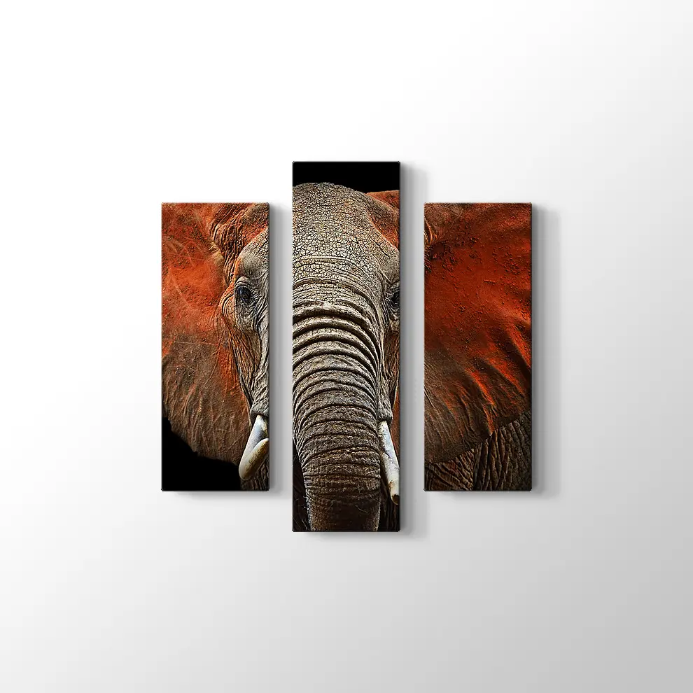 Afrika Fili Kanvas Tablo