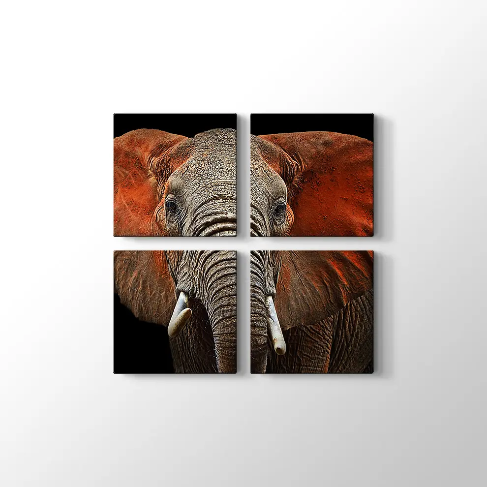 Afrika Fili Kanvas Tablo