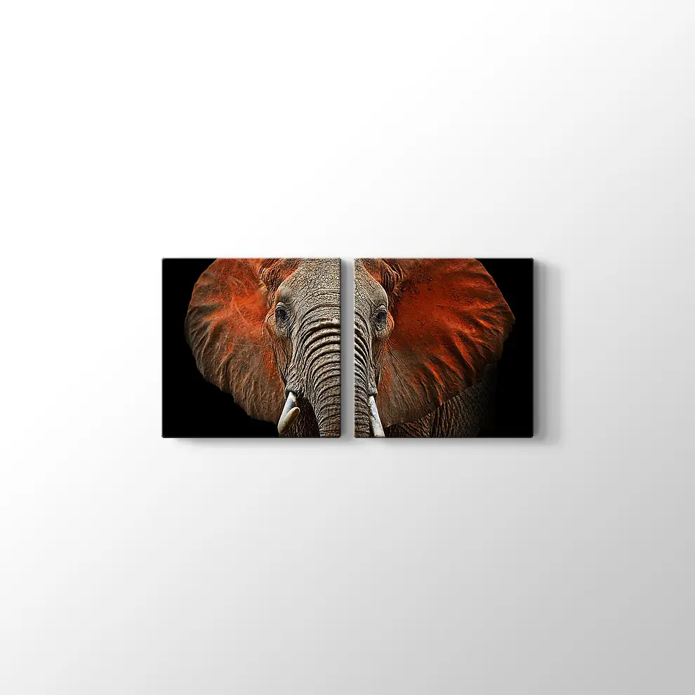 Afrika Fili Kanvas Tablo