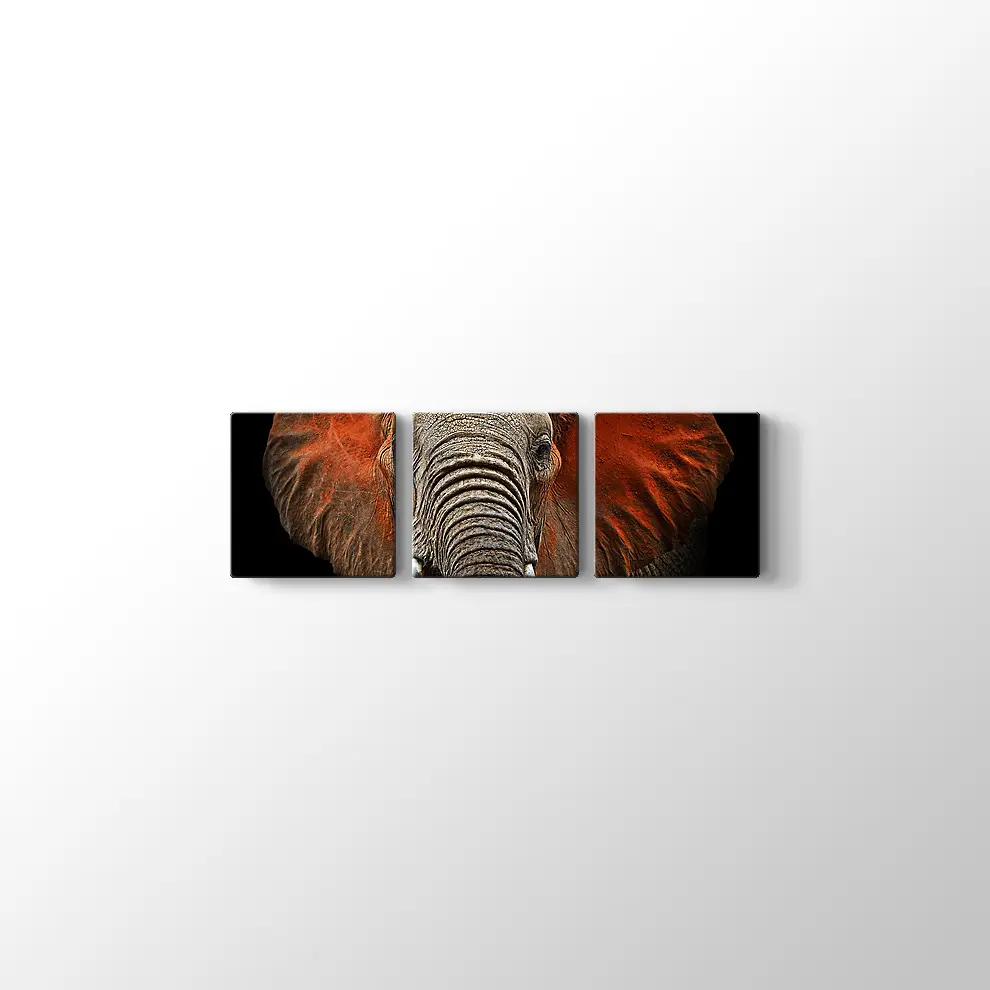 Afrika Fili Kanvas Tablo
