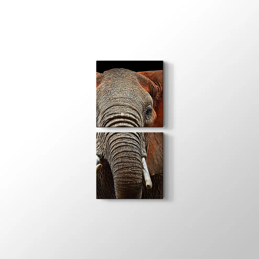 Afrika Fili Kanvas Tablo