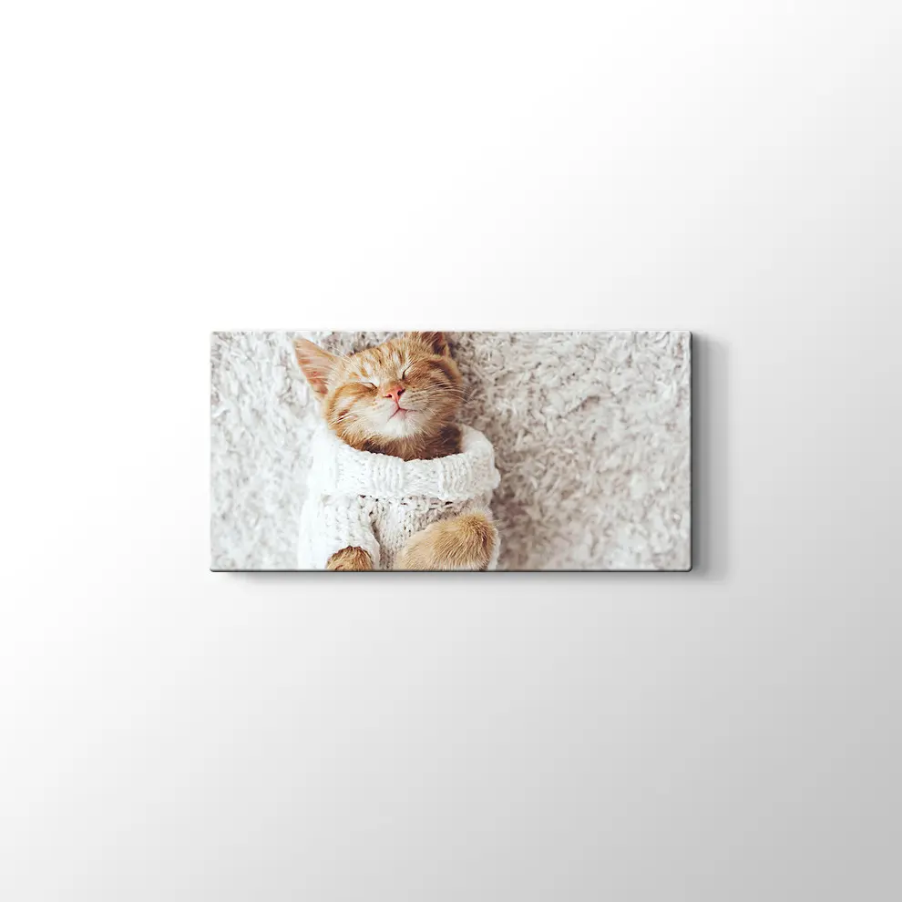 Kızıl Kedi Yavrusu Kanvas Tablo