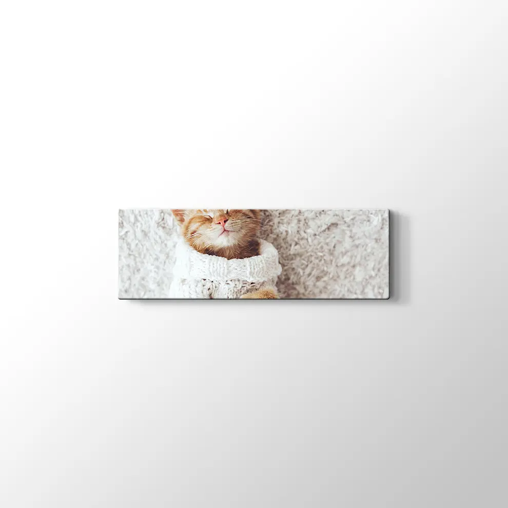 Kızıl Kedi Yavrusu Kanvas Tablo