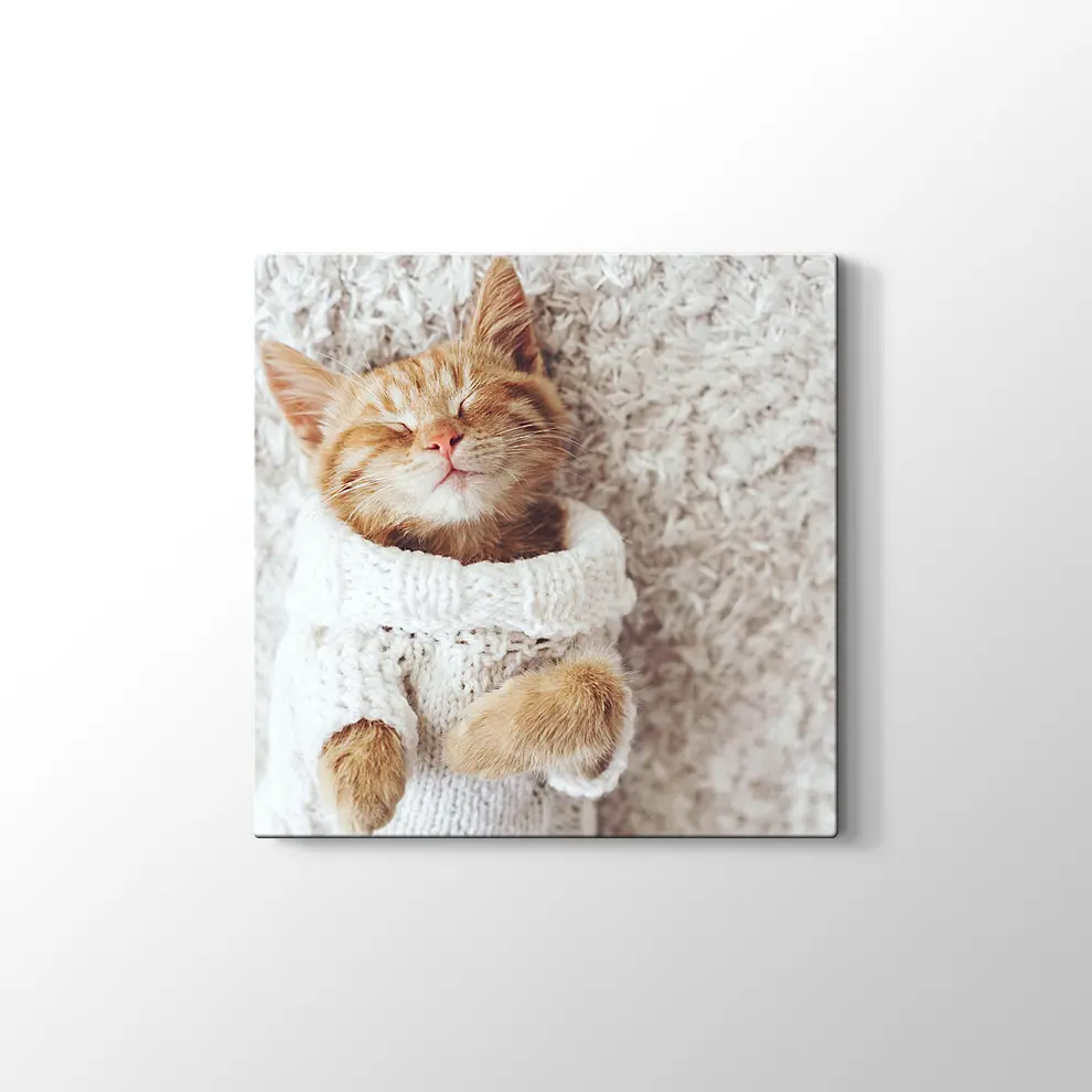 Kızıl Kedi Yavrusu Kanvas Tablo