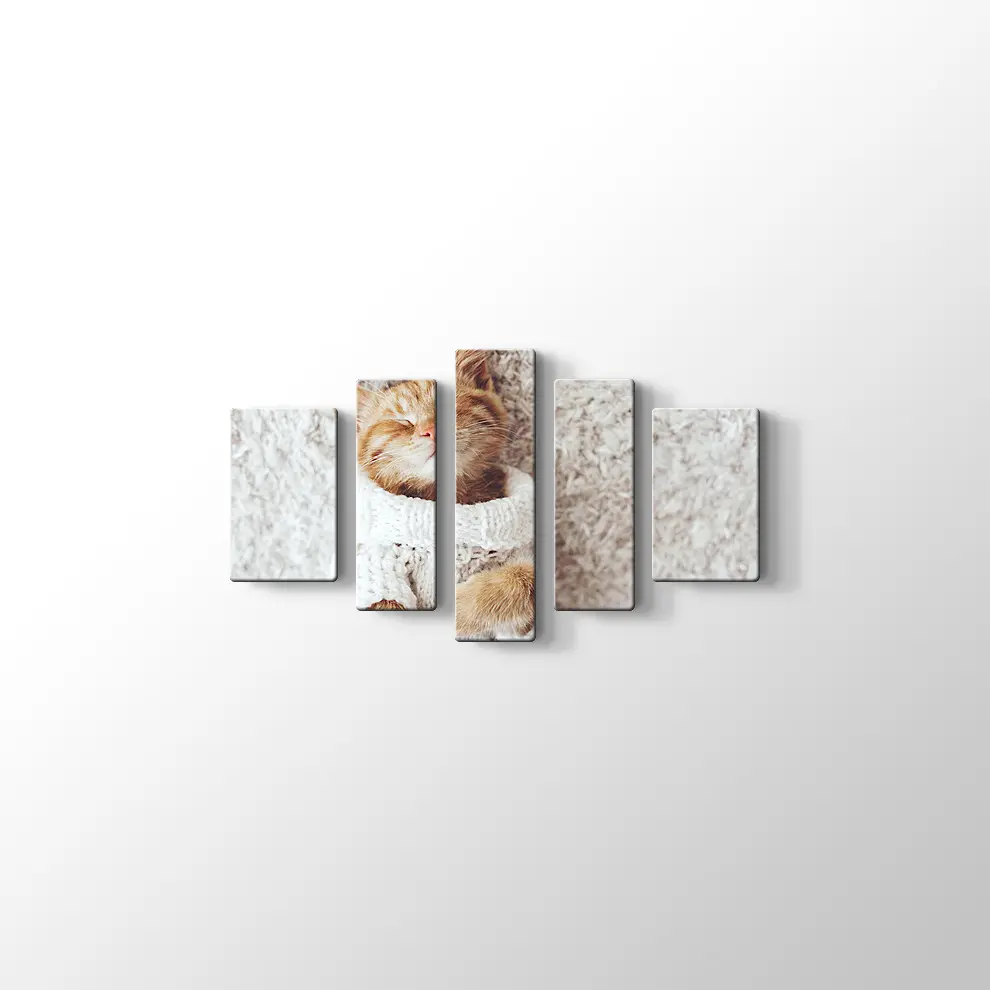 Kızıl Kedi Yavrusu Kanvas Tablo