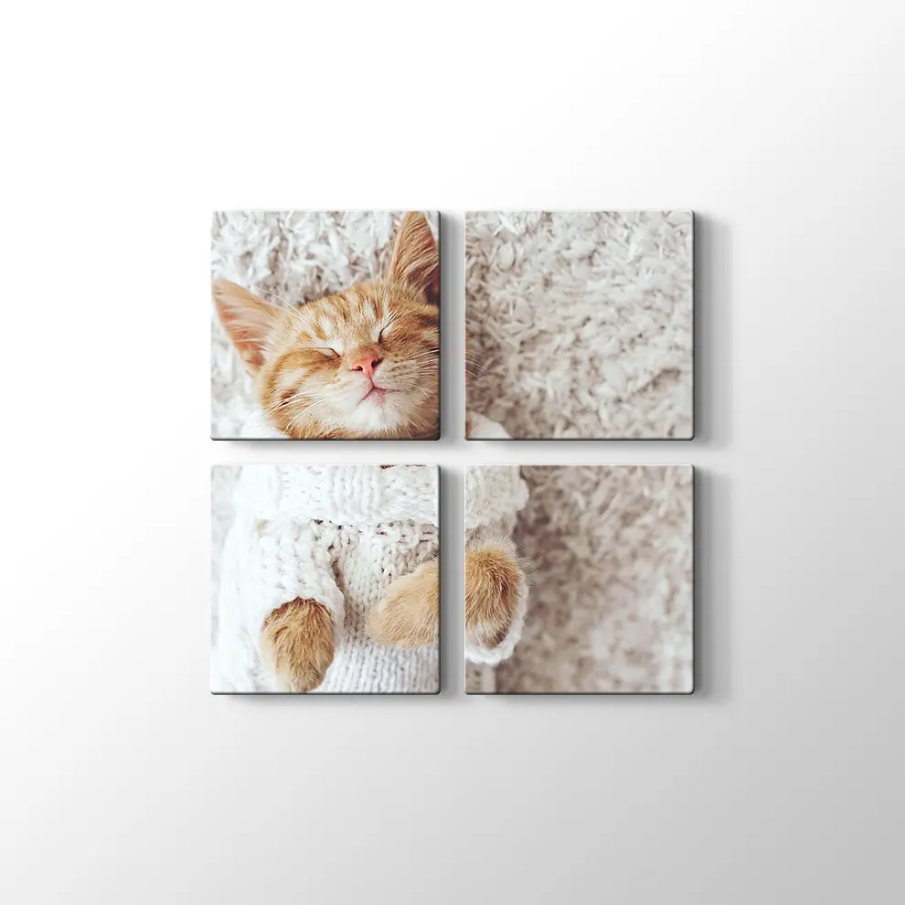 Kızıl Kedi Yavrusu Kanvas Tablo