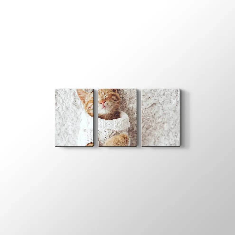 Kızıl Kedi Yavrusu Kanvas Tablo