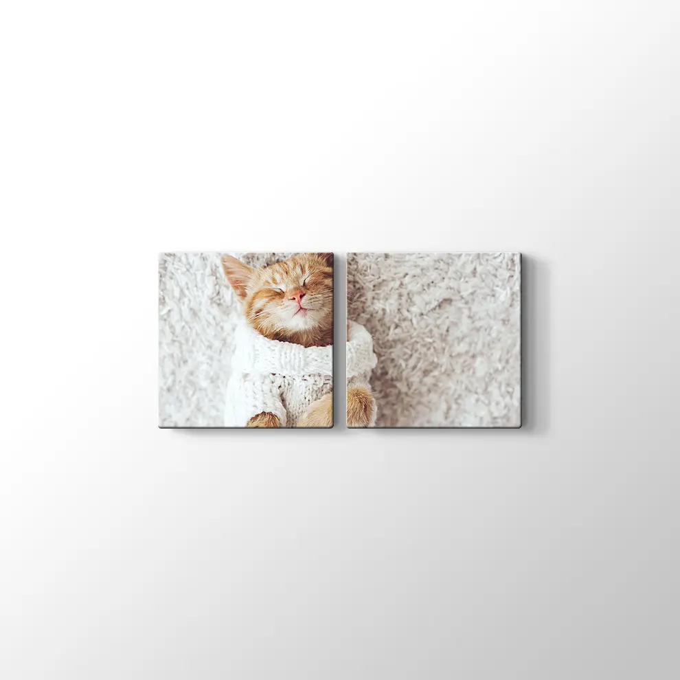 Kızıl Kedi Yavrusu Kanvas Tablo