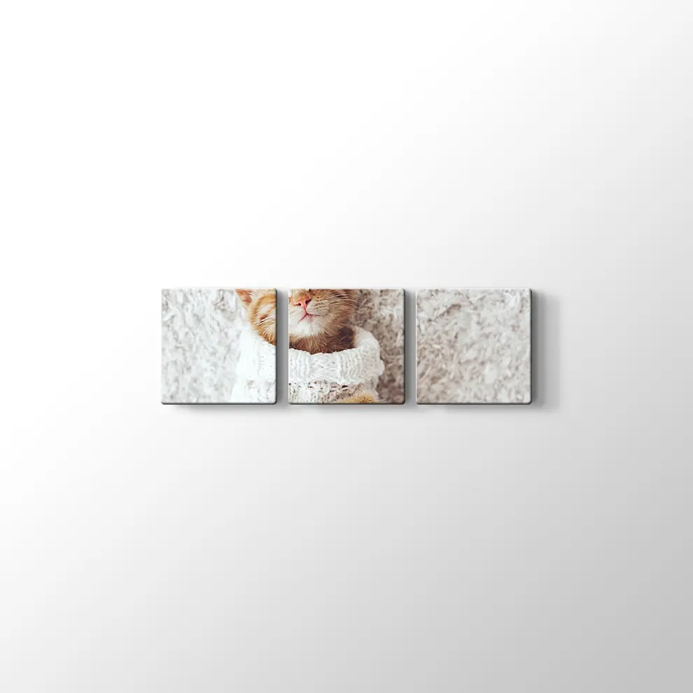 Kızıl Kedi Yavrusu Kanvas Tablo