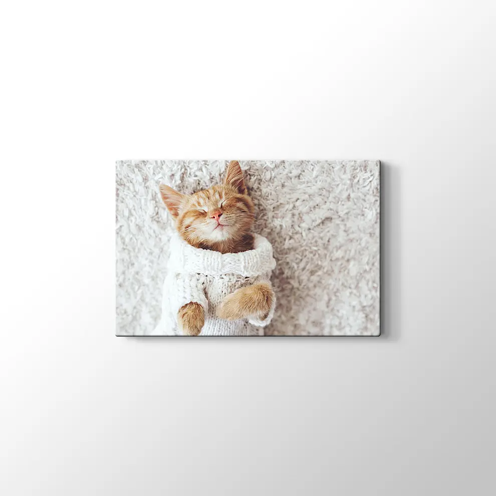 Kızıl Kedi Yavrusu Kanvas Tablo