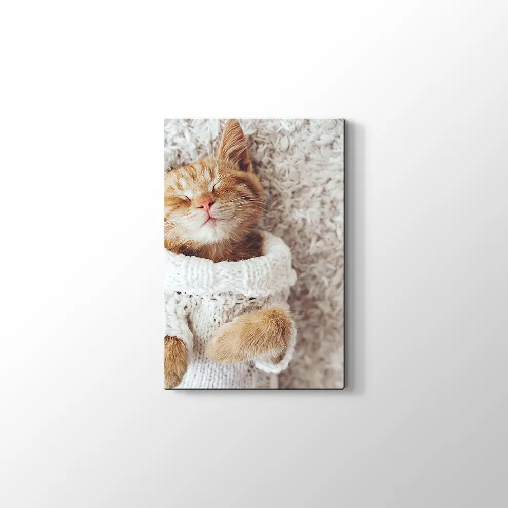 Kızıl Kedi Yavrusu Kanvas Tablo