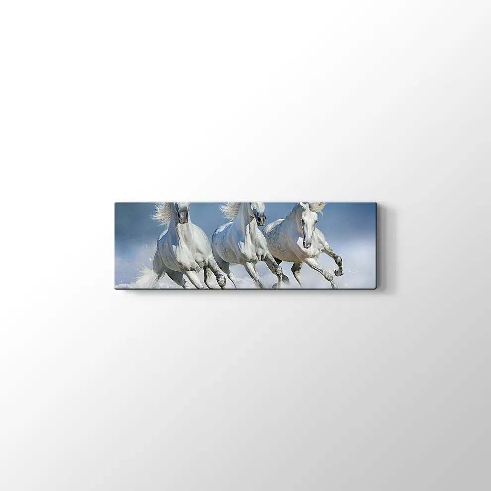 Koşan Beyaz Atlar Kanvas Tablo