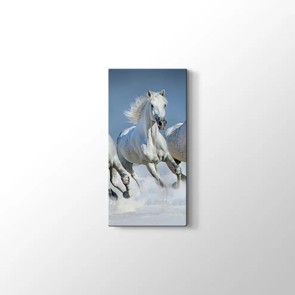 Koşan Beyaz Atlar Kanvas Tablo