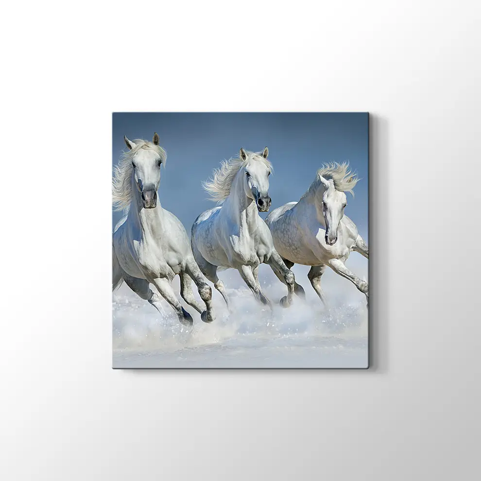 Koşan Beyaz Atlar Kanvas Tablo