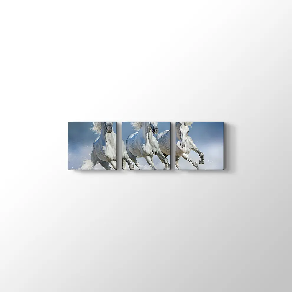 Koşan Beyaz Atlar Kanvas Tablo