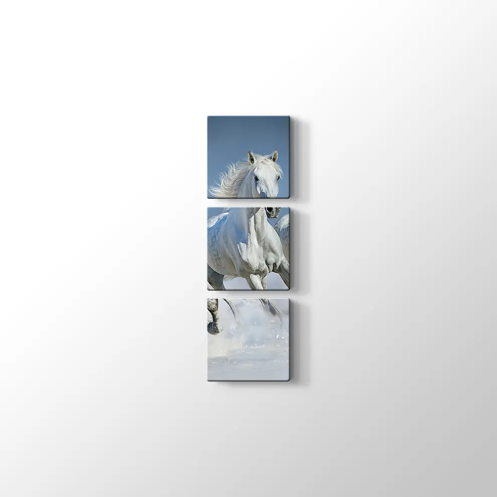 Koşan Beyaz Atlar Kanvas Tablo