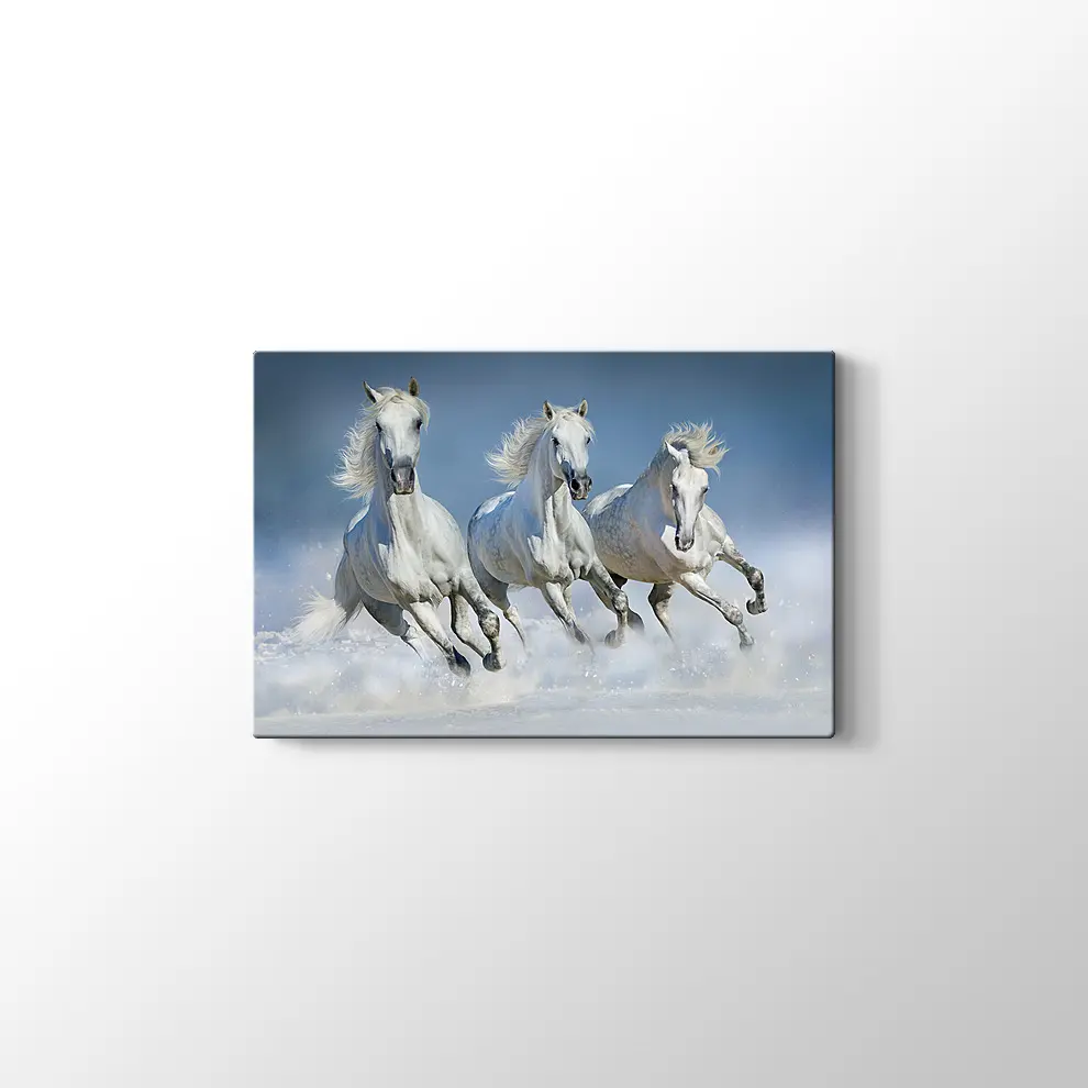 Koşan Beyaz Atlar Kanvas Tablo