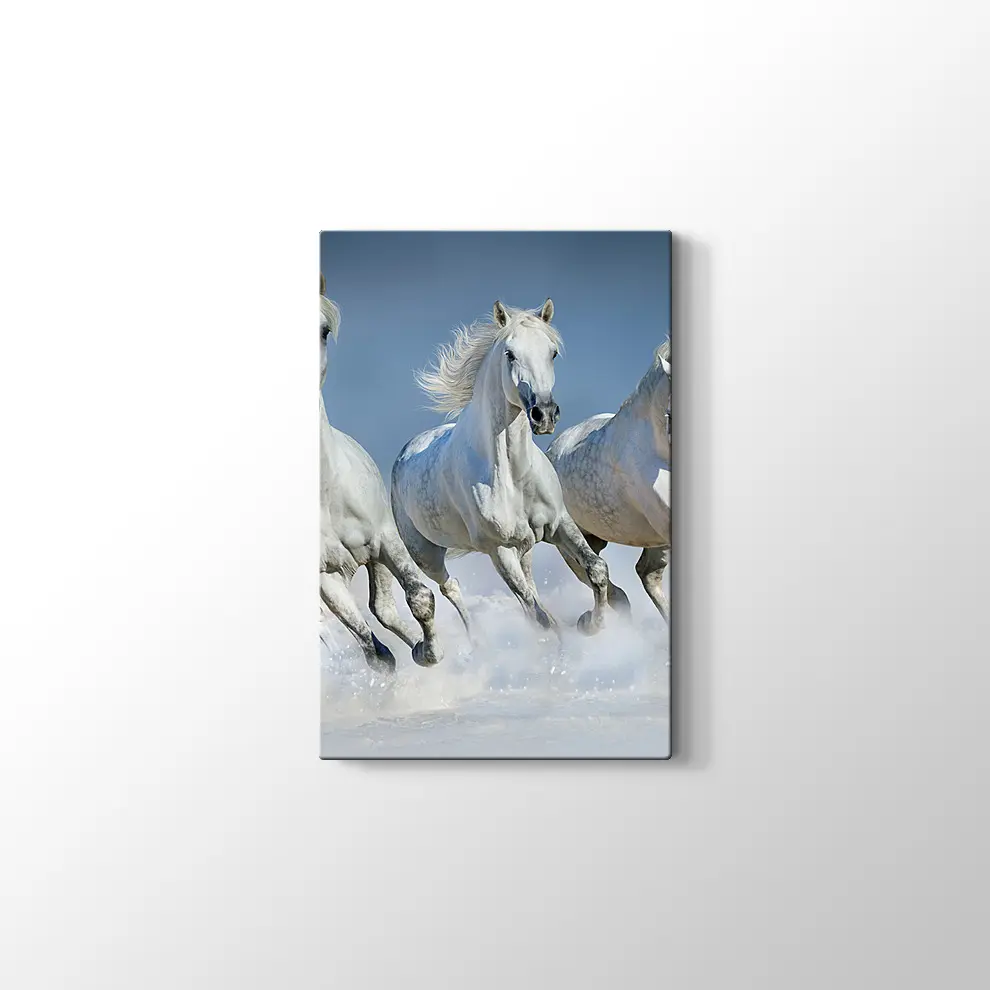 Koşan Beyaz Atlar Kanvas Tablo