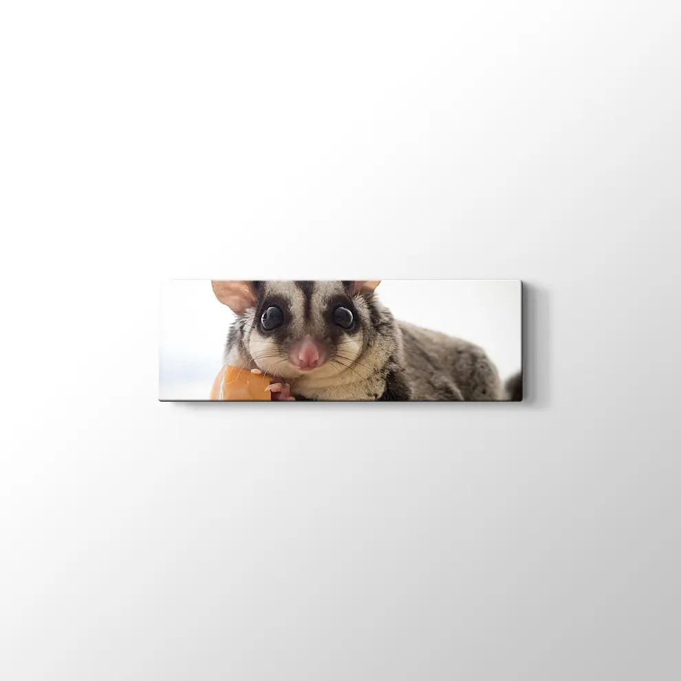 Sosis Yiyen Planör Kanvas Tablo