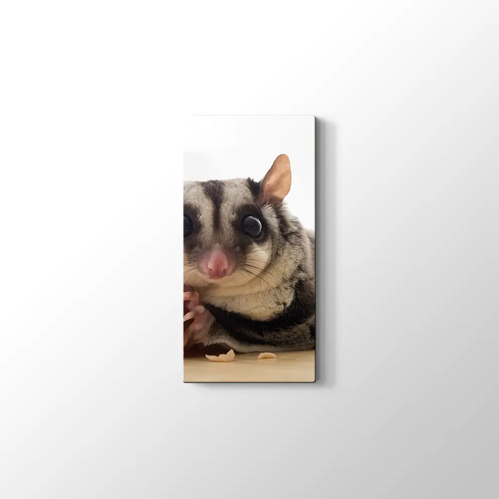 Sosis Yiyen Planör Kanvas Tablo