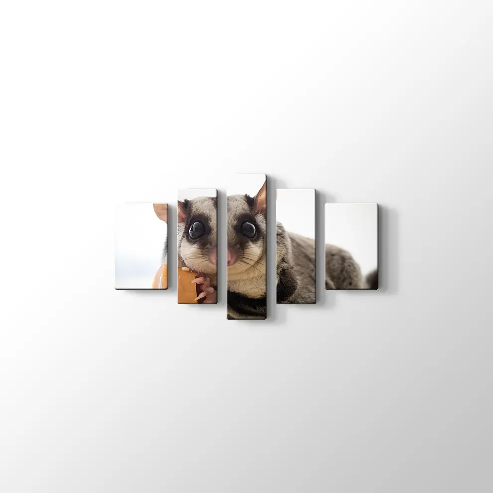 Sosis Yiyen Planör Kanvas Tablo