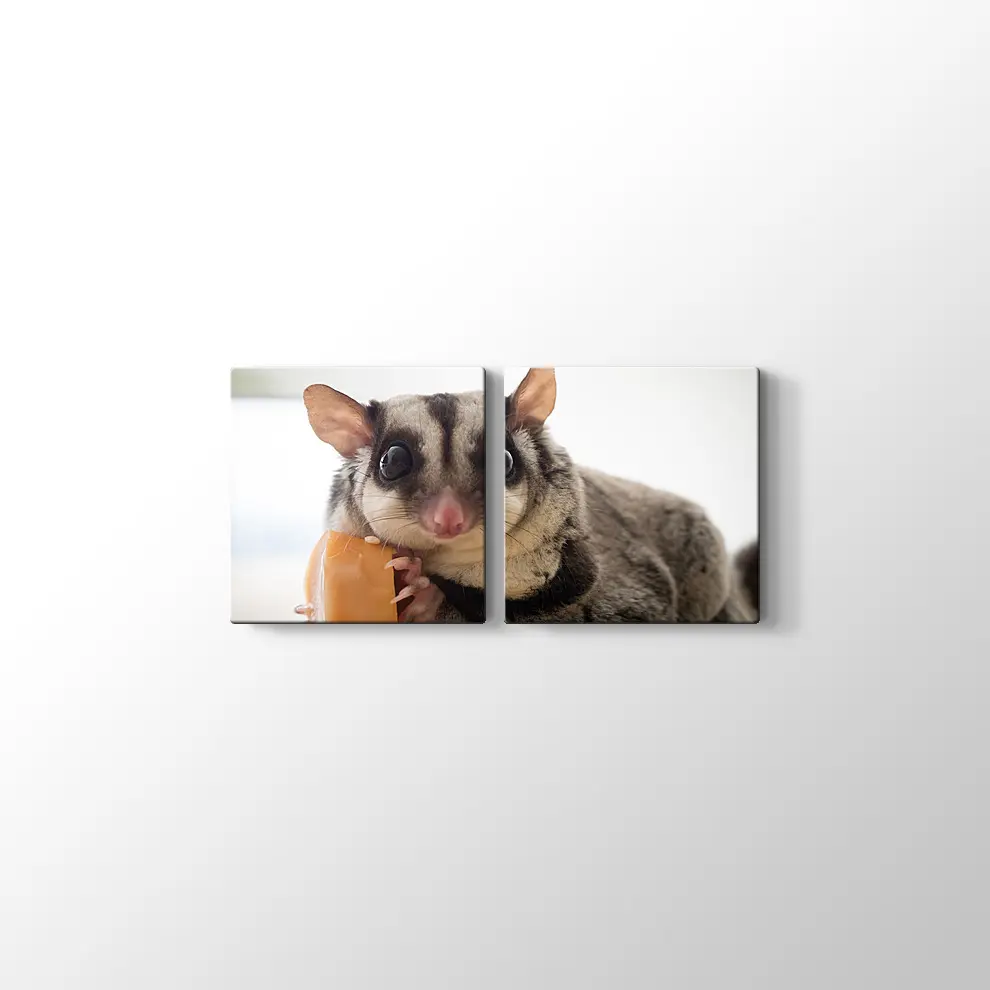 Sosis Yiyen Planör Kanvas Tablo