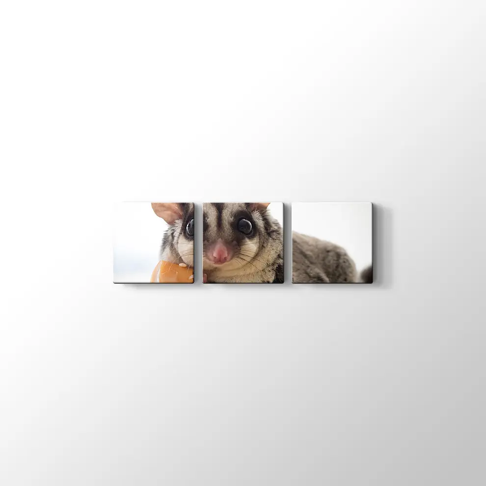 Sosis Yiyen Planör Kanvas Tablo