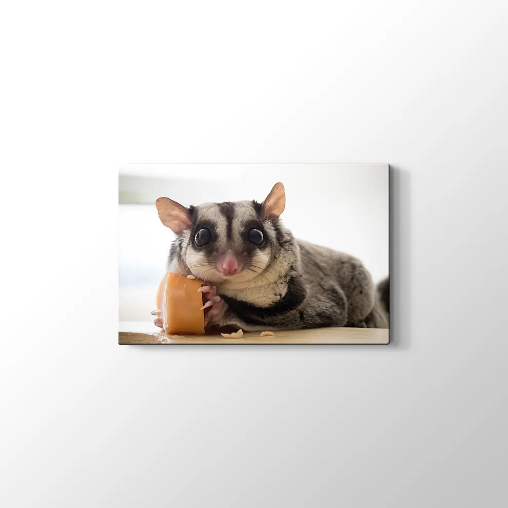 Sosis Yiyen Planör Kanvas Tablo