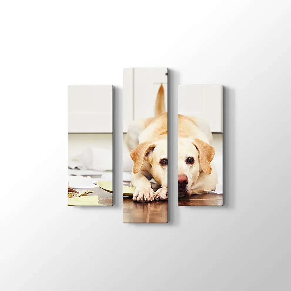 Sevimli Köpek Kanvas Tablo