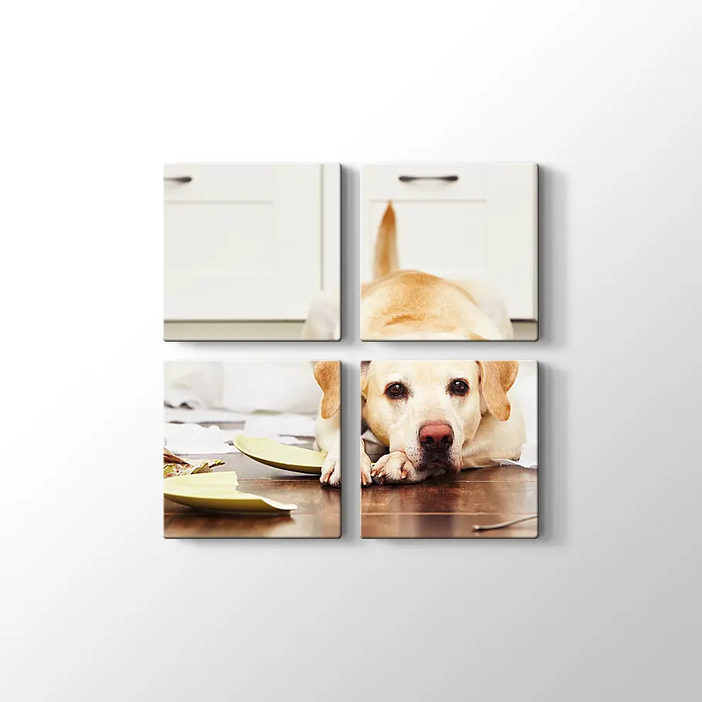 Sevimli Köpek Kanvas Tablo