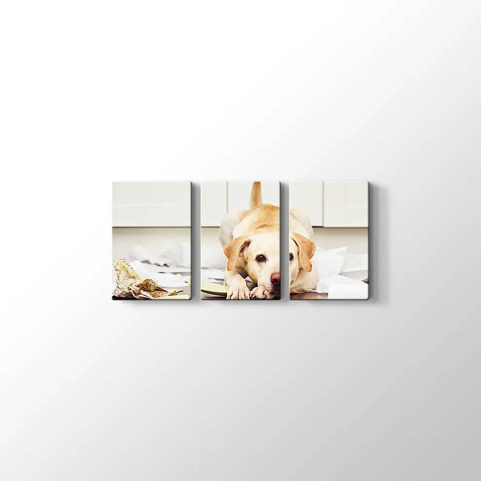 Sevimli Köpek Kanvas Tablo